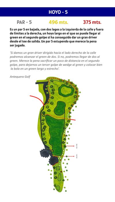 hoyo 5